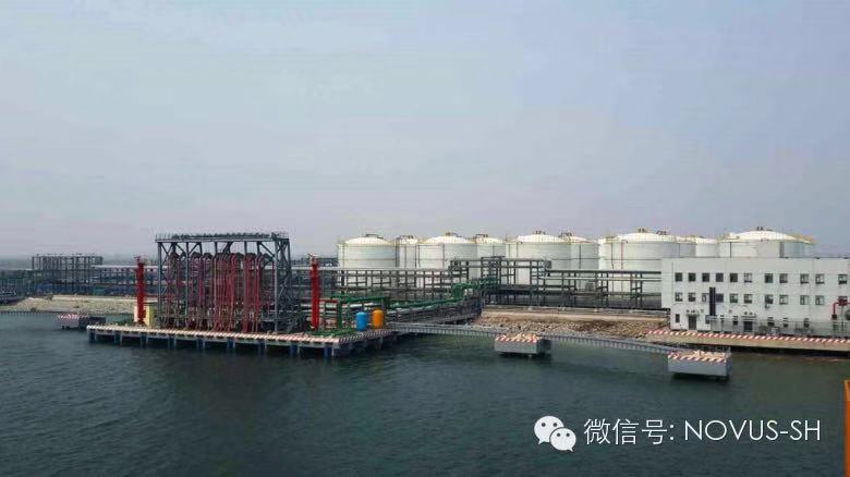 S36沙龙会 - 要玩就玩沙龙会