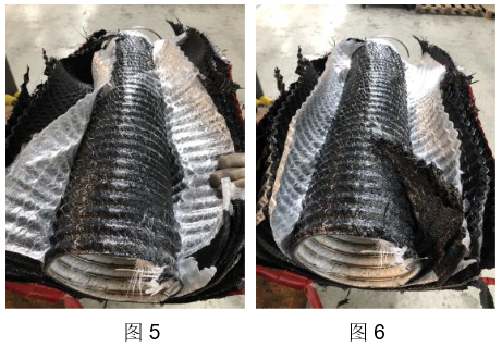 S36沙龙会 - 要玩就玩沙龙会