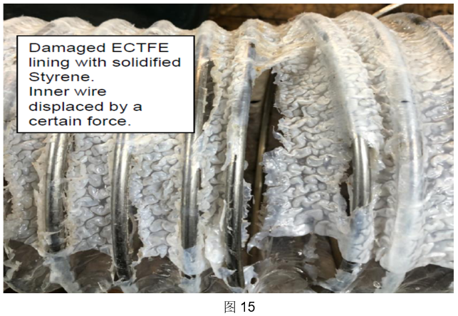 S36沙龙会 - 要玩就玩沙龙会
