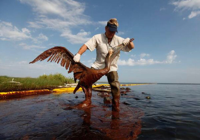 S36沙龙会 - 要玩就玩沙龙会