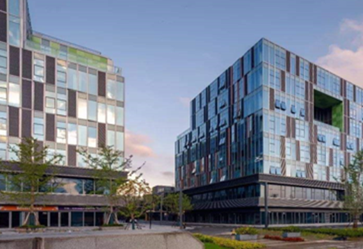 S36沙龙会 - 要玩就玩沙龙会